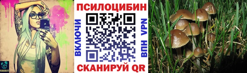 Галлюциногенные грибы мухоморы  Купить  Сосновка 